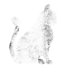 Chat Kater
