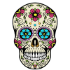 Mexican skull