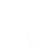 Retro Berner Sennenhund Grand-mère