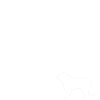 Berner Sennenhund OPA