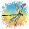 Libellule
