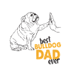 Bouledogue papa