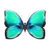 Liberté bleue