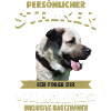 Kangal - Kangal Hund