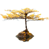 Arbre Zen
