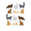 Maine Coon Chat Chat Chat