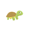 Anatomie einer Schildkröte