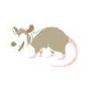 Opossum