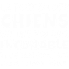 passion chiens - humour chien