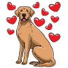 Broholm dog with hearts