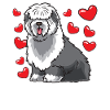 Old English Sheepdog Bobtail chien