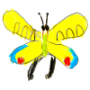 Butterfly 02