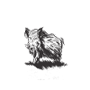 Jäger Wildschwein lustiger Spruch