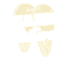 Zahn Zahnarzt Zähne
