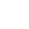 NPC Shirt pixel
