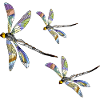 Libellules