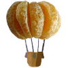 Globe mandarine
