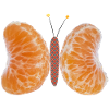 Mandarin Butterfly 01