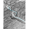 Dorsal