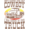 PICKUP TRUCK FUNNY US Pickup Oldtimer US Car