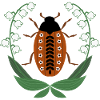 Coléoptères au muguet