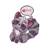 Cute Raccoon Anime Kawaii