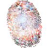Fingerprint Universe