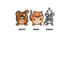 Dog Cat Mouse