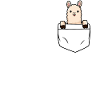 LLama Lama Poche poitrine