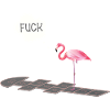 Flamingo mit einem Problem