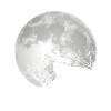 Dachshund Full Moon