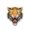 Muay Thai Tiger - Thai Boxing