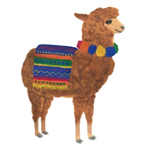 Lama Alpaka Vikunja Guanako Peru Anden