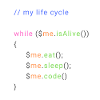 my life cycle dev