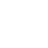 Orca Killerwal Spirit Animal