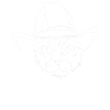 Meowdy Cat