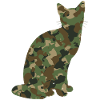 Camouflage Katze Kätzchen