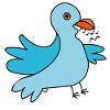 Pigeon