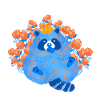 blue racoon