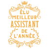 Elu meilleur assistant de l'année