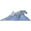 de Polarbear