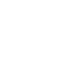 The Walking Dad Labrador