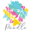 Poodle - poodle