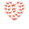 Shrimp Heart