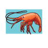 Crevettes murmureurs