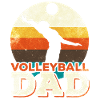 Volley-ball papa Volley-ball père