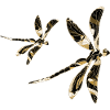 Libellules