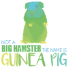 Guinea pig Genschenk