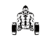 Silberrücken | Gorilla
