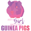 Guinea pig